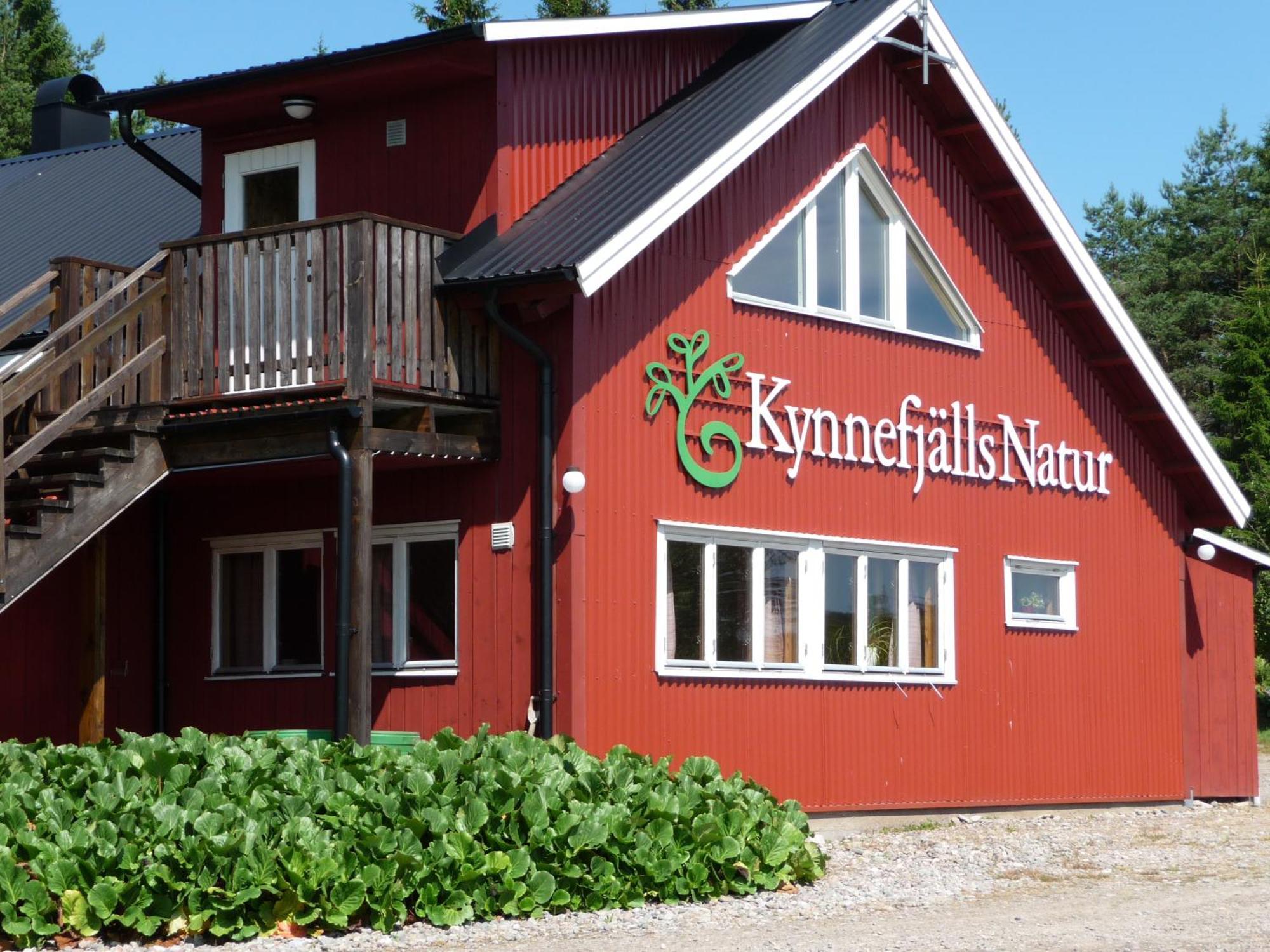 Kynnefjaellsnatur Hedekas Bagian luar foto