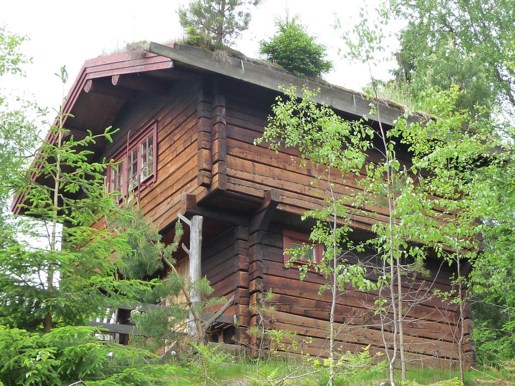 Kynnefjaellsnatur Hedekas Bagian luar foto