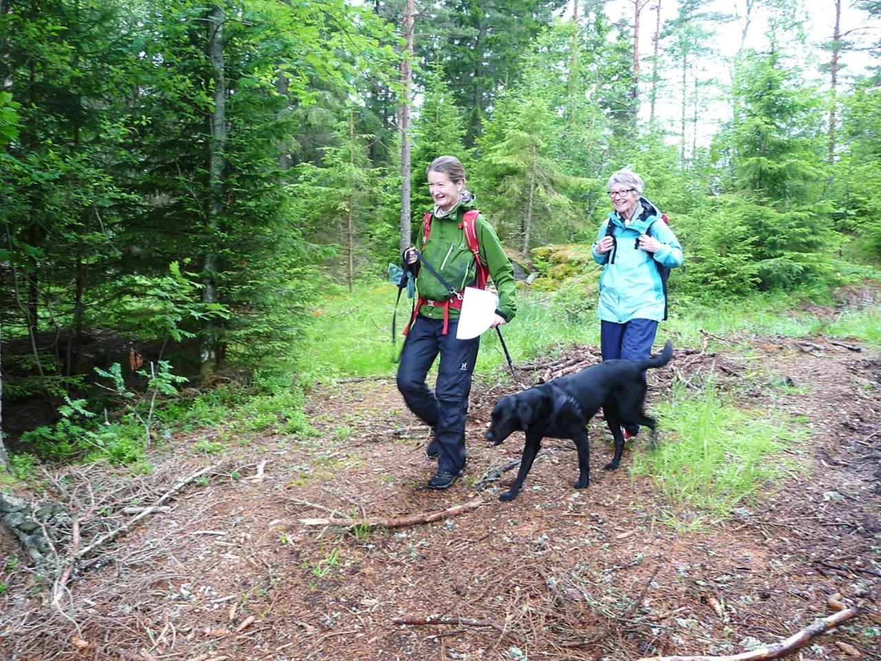 Kynnefjaellsnatur Hedekas Bagian luar foto
